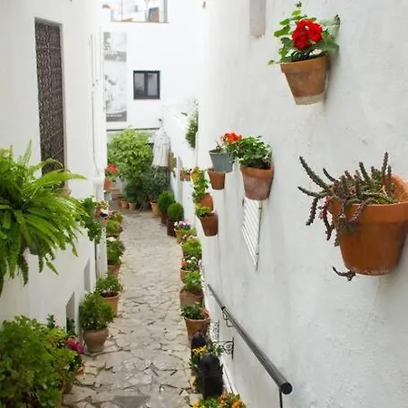 Casa Anicca Apartment *